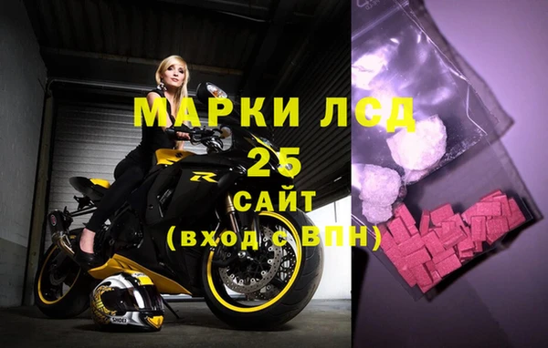 прущие грибы Алексеевка
