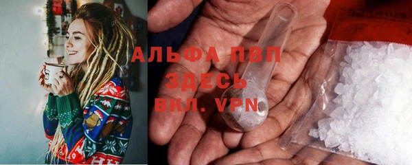прущие грибы Алексеевка