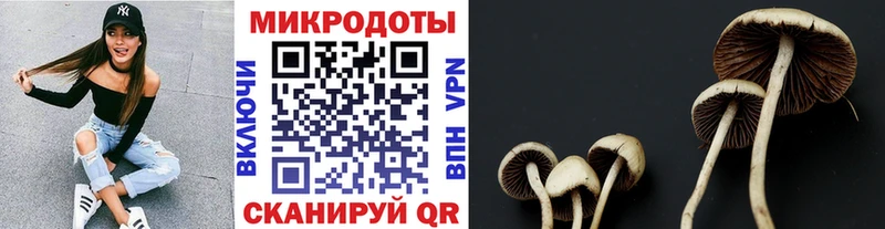 цена наркотик  Бийск  Псилоцибиновые грибы мицелий 