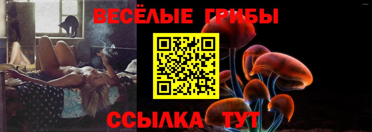 Псилоцибиновые грибы мицелий Бийск