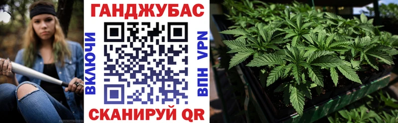 Бошки Шишки план  mega зеркало  Бийск  сколько стоит 