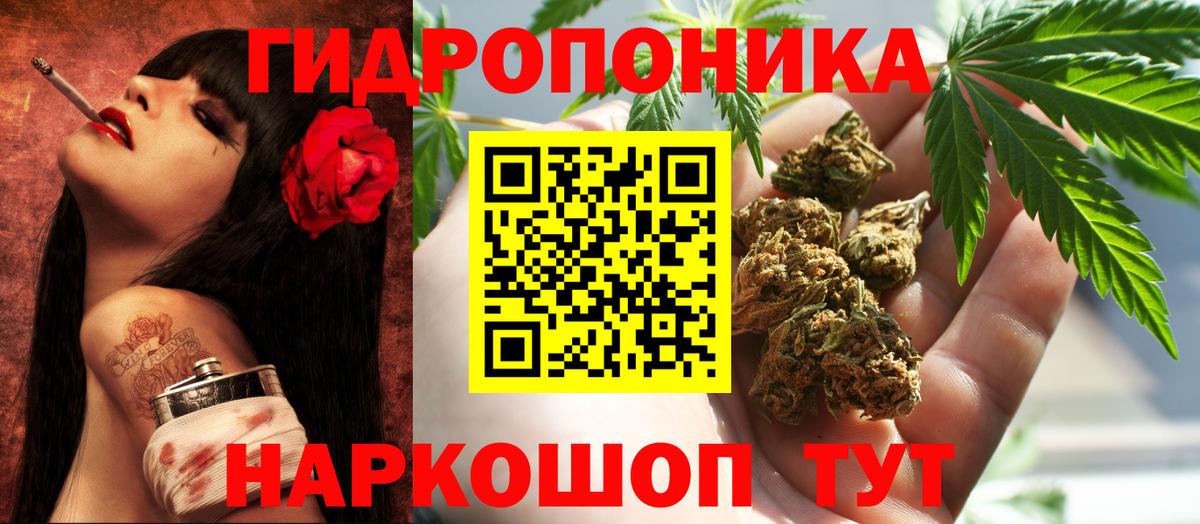 Бошки марихуана план  Конопля ГИДРОПОН  Вход с VPN  Бийск 